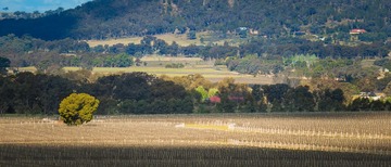 20140926-_MG_5233