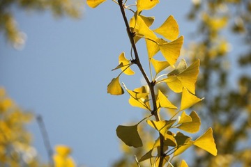 DPP_0004.JPG