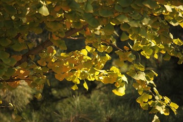 DPP_0006.JPG