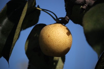 IMG_3250.JPG