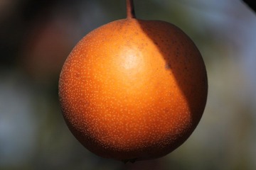 IMG_3253.JPG