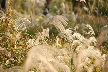 IMG_3274.JPG