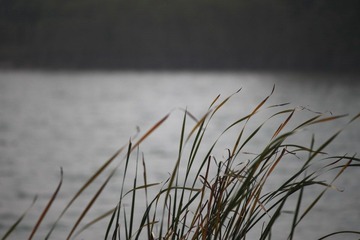 IMG_3481.JPG