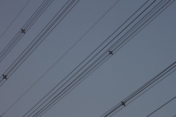 IMG_3560.JPG