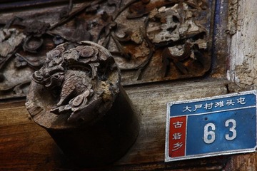 DPP_41
