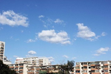 _MG_2989.JPG