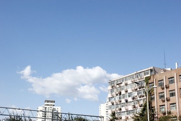 _MG_3014.JPG