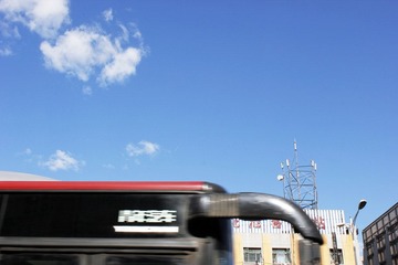 _MG_3036.JPG