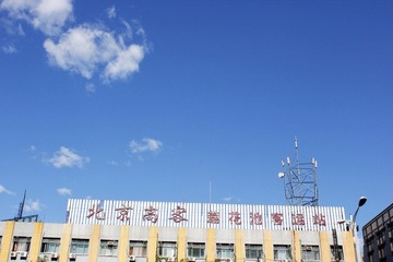 _MG_3037.JPG