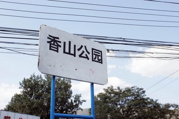 _MG_3049.JPG