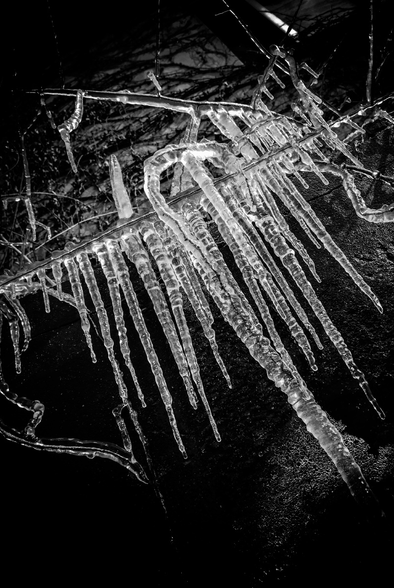 冬天最后的冰尖