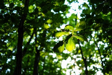 DSCF1687-编辑-2.jpg