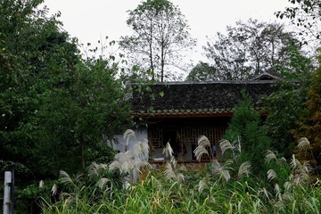 IMG_7160.JPG