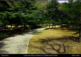 植物园小径.jpg