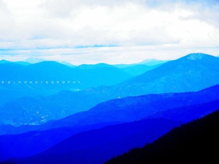DSCF1633.jpg