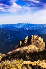 IMG_3862_1.jpg