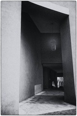 DSC00574-编辑