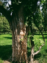PIC_20140614_235130_7A6