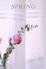 D4E591EB-52F6-471D-B4C7-C57CD081EC67/L0/001