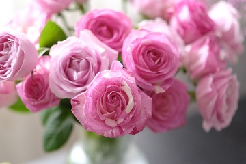 A84BB943-988E-49D5-823F-6B917E5BC191/L0/001