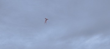 1000021077