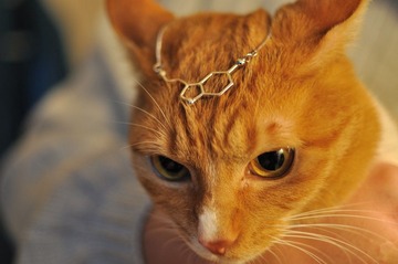 DSC_4522.jpg