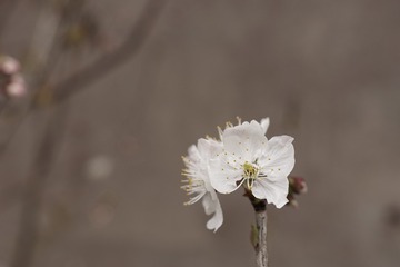 1357076