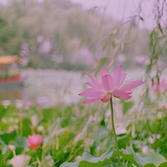 D8498507-2B2F-4D46-9A4E-EA1CF697E6AC/L0/001