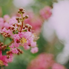 55A39245-4E0C-4209-8D6A-BC616DA8D0B8/L0/001
