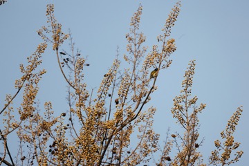 CA52B135-2766-4FB1-8EEA-7851DE273474/L0/001