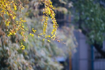 F1707EAC-02C3-411C-ADD3-F5215301D1F9/L0/001
