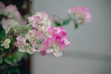 225552C1-10CB-47C9-B89B-C25EF3B042A1/L0/001