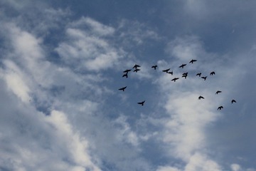 IMG_0048.JPG