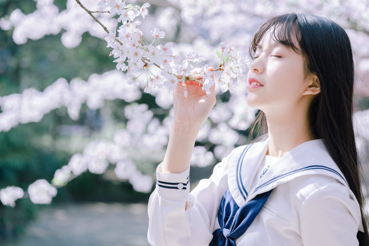 樱花味的少女是甜甜的