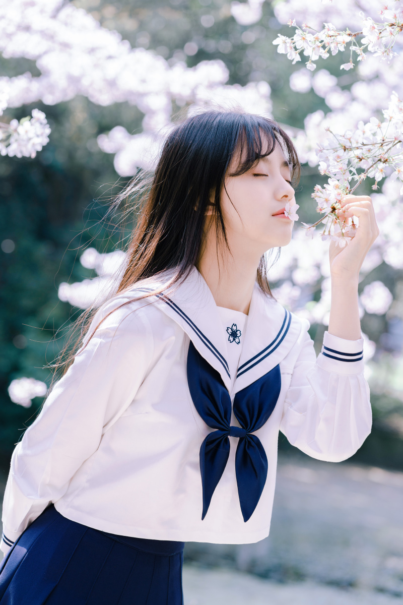 樱花味的少女是甜甜的