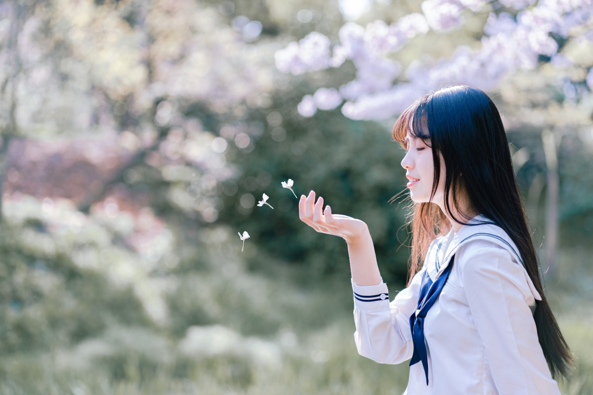 樱花味的少女是甜甜的