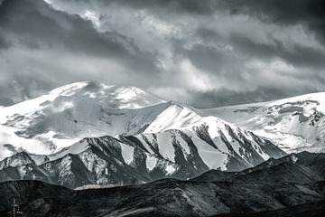 36521
