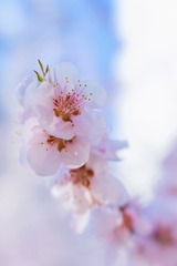 A84903D0-B75C-4B95-947A-2F95F38ABDC7/L0/001