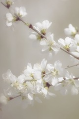 788B5D6E-29A0-425E-B7C2-F01BB1F6CD3F/L0/001