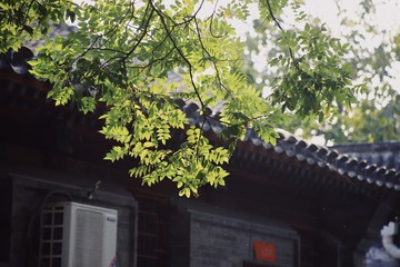 4AE51624-4CDF-41FB-B7C5-2A8B3F825460/L0/001