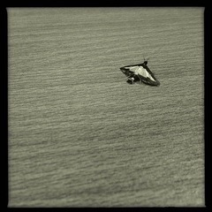 IMG_1818-2