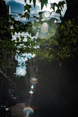 50D8B9A1-83EF-4391-926D-3255AFD0C403/L0/001