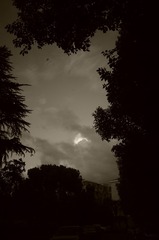 696E08ED-16E0-4034-BD29-0B551854F5D5/L0/001