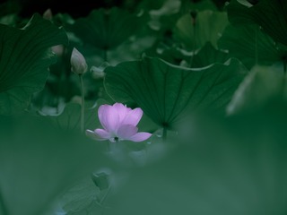 E887D831-A9DB-466E-A776-55615A18BB16/L0/001