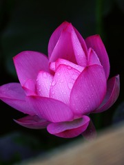 91984CDA-81CA-4777-86F1-22BE5BD7D6E1/L0/001