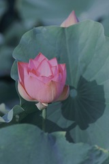C441C40D-5FA8-429F-BA50-288B244CCE08/L0/001