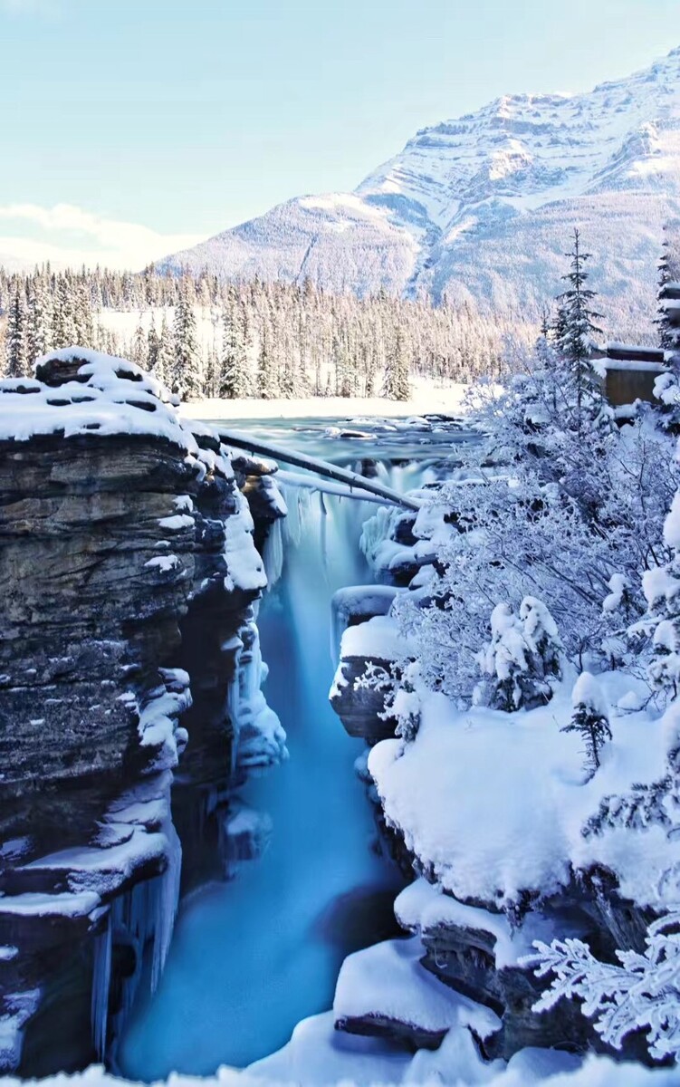Athabasca Falls洛基山脉中最令人惊心动魄的瀑布