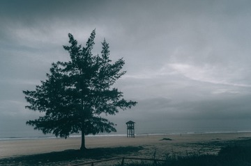 1260282