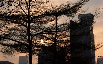 IMGP5769.jpg