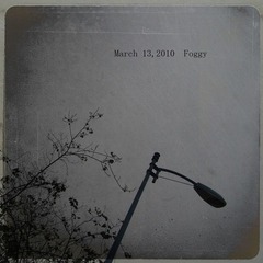 Foggy